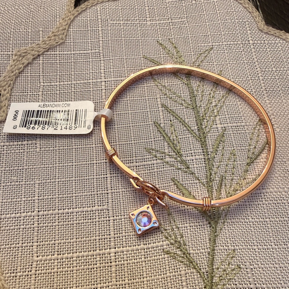 Alex and Ani Rose Gold Crystal Charm Tension Bangle
